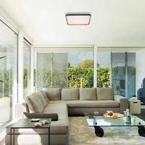 Rabalux 71029 - Plafonieră LED LIATRIS, 26W, 230V, 3000K