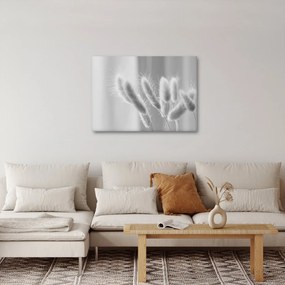 Tablou - Iarbă de coadă de iepure (70x50 cm)