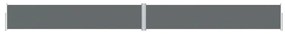Copertina laterala retractabila, antracit, 117x1200 cm Antracit, 117 x 1200 cm