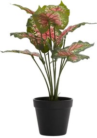 Plantă artificială (înălțime 40 cm) Caladium – Light &amp; Living