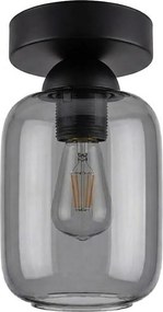 BRILAGI - Plafonieră LED R GLASS 1xE27/60W/230V diam. 14 cm negru/gri fumuriu