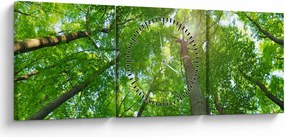 Tablou - Lunca (cu ceas) (90x30 cm)