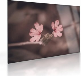 Tablou pe sticlă cu floare roz (70x50 cm)