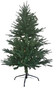 Brad de Crăciun Smrk sivý, 120 cm