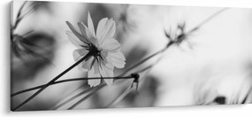 Tablou - Flori alb-negru (120x50 cm)