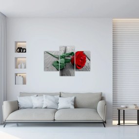 Tablou - Trandafir roșu cu tulpină verde (90x60 cm)