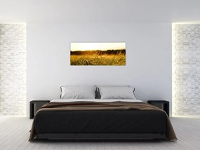 Tablou iarba cu rouă (120x50 cm)