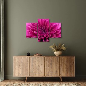 Tablou cu floare (90x60 cm)