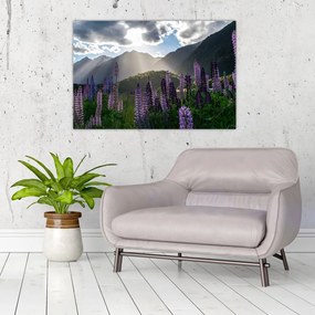 Tablou - scenariu cu flori de Lupin (90x60 cm)