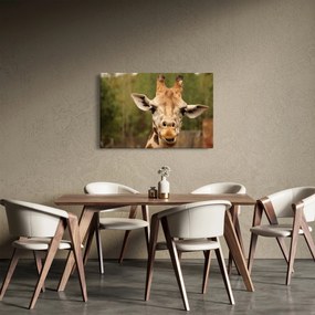 Tablou girafe (90x60 cm)