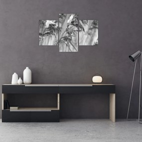 Tablou - Tei,alb-negru (90x60 cm)