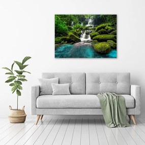 Tablou canvas Cascada din junglă