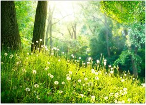 Tablou - Pajiște magică plină de păpădii (70x50 cm)