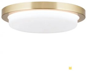 Plafoniera LED moderna LEROX 20cm alama mat