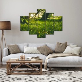 Tablou cu natura - lunca (150x105 cm)