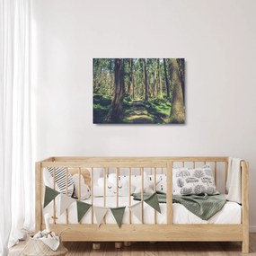 Tablou pe sticlă cu drum între copaci (70x50 cm)