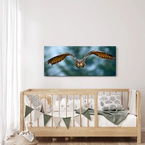Tablou -Bufnita în zbor (120x50 cm)
