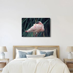 Tablou - Pasărea Flamengo (90x60 cm)