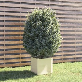 Jardiniera de gradina, alb, 40x40x40 cm, lemn masiv de pin Alb, 1, Alb