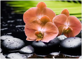 Tablou - Orhidee portocalie cu frunze de palmier (70x50 cm)