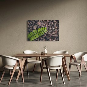 Tablou cu planta verde (90x60 cm)