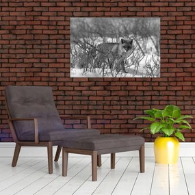 Tablou - Vulpe în timpul iernii (90x60 cm)
