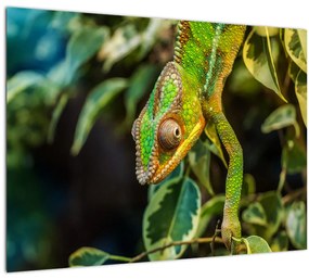 Tablou pe sticlă cu cameleon (70x50 cm)