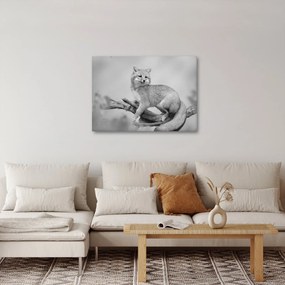 Tablou - Vulpe gri (70x50 cm)