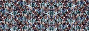 Fototapet - Pene (254x184 cm)
