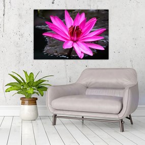 Tablou - floarea roz (90x60 cm)