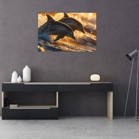 Tablou - Delfinii (90x60 cm)