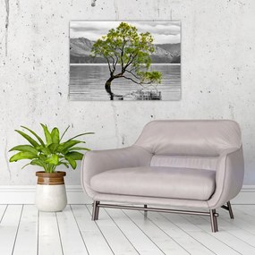 Tablou pe sticlă copacului în mijlocul lacului (70x50 cm)