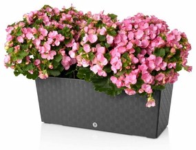 Ghiveci cu auto-irigare Flower Lover Supreme, pentru ierburi, antracit, 50 cm