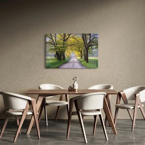 Tablou - Smoky Mountains, Gatlinburg, SUA (90x60 cm)