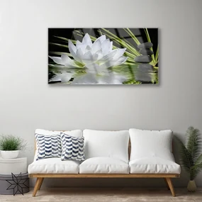 Tablou pe sticla Pietrele de flori Apă Floral Alb Negru