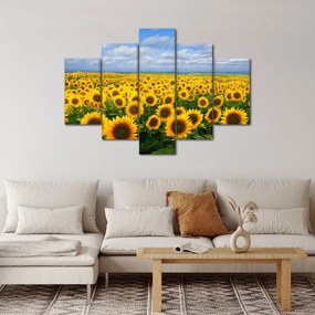 Tablou cu lan de floarea soarelui (150x105 cm)