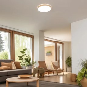 Brilagi - Plafonier LED reglabil PINE LED/24W/230V + telecomandă