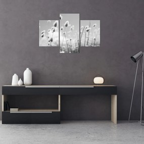 Tablou - Boho iepuraș coadă de iarbă (90x60 cm)