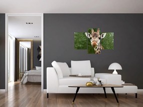 Tablou cu girafa (90x60 cm)