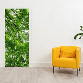 Fototapet pentru ușă - Coroana copacilor (95x205cm)