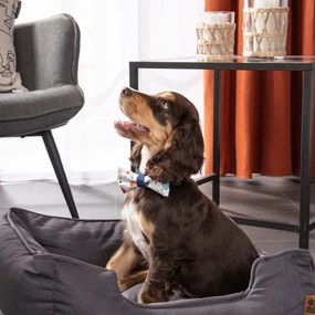 Pat pentru animale de companie albastru pentru câini 50x55 cm – Love Story