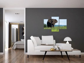 Tablou cu elefant (90x60 cm)