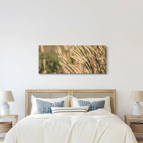 Tablou - Cereale (120x50 cm)