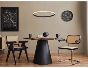 Lustră LED dimabilă pe cablu LED/40W/230V 3000-6500K + telecomandă