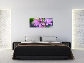Tablou cu floarea detailat (120x50 cm)