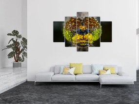 Tablou detailat cu ochii de omidă (150x105 cm)