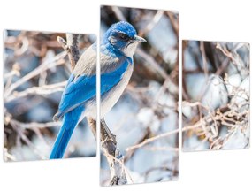 Tablou - Pasare de iarnă (90x60 cm)