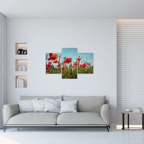 Tablou - Pe câmpul cu maci (90x60 cm)