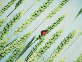 Lenjerie de microfibra POSANA verde Dimensiune lenjerie de pat: 2 buc 70 x 80 cm | 160 x 200 cm