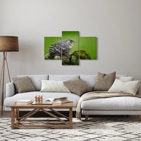 Tablou - Muscarul (90x60 cm)